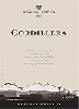 Cordillera Curicó
